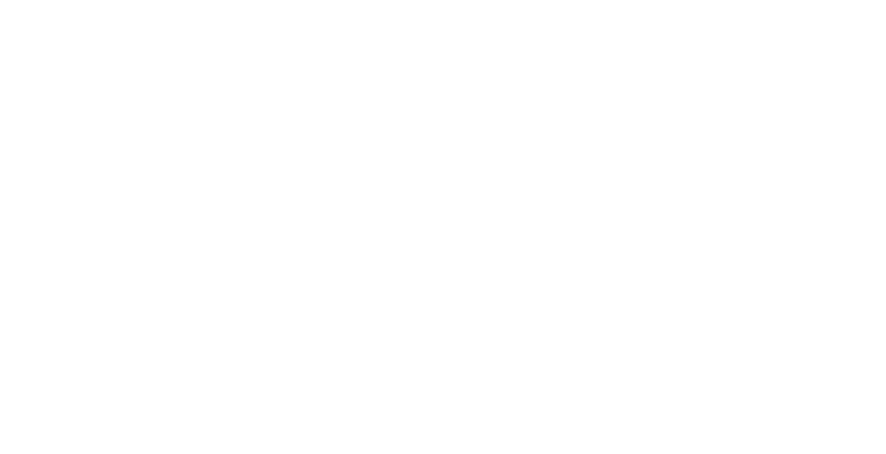  NEWS